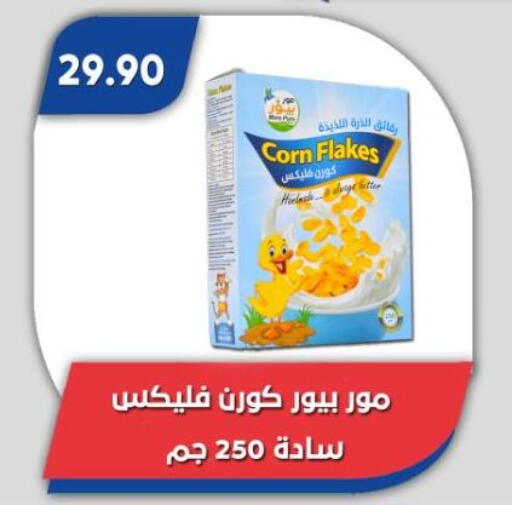 available at باسم ماركت in Egypt - القاهرة