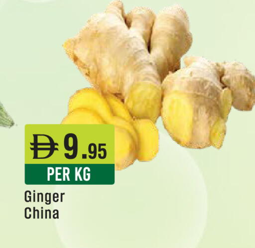 Ginger from China available at ويست زون سوبرماركت in الإمارات العربية المتحدة , الامارات - دبي