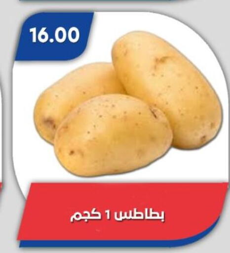 available at باسم ماركت in Egypt - القاهرة