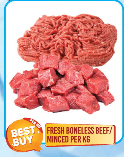 available at دريم لاند in الإمارات العربية المتحدة , الامارات - دبي