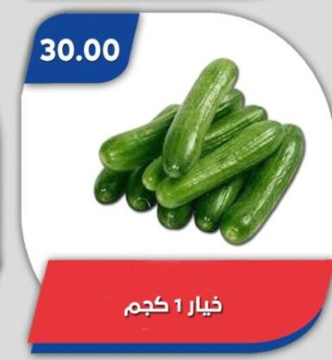 available at Bassem Market in Egypt - Cairo