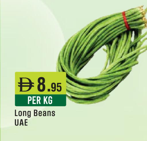 available at ويست زون سوبرماركت in الإمارات العربية المتحدة , الامارات - دبي