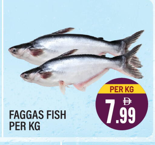 available at Dream Land in UAE - Sharjah / Ajman