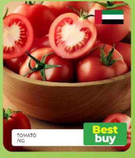 Tomato available at Al Madina  in UAE - Sharjah / Ajman
