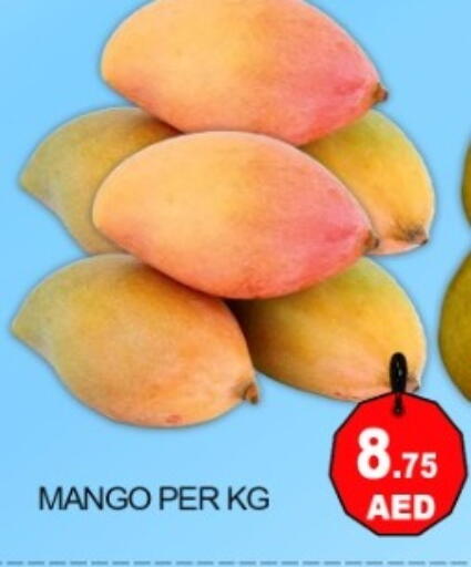 Mango available at Green Gift Department Store in UAE - Dubai