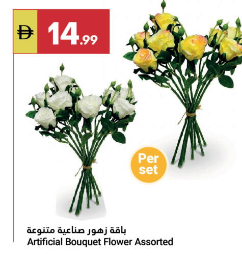 available at Grand Emirates Market in UAE - Abu Dhabi