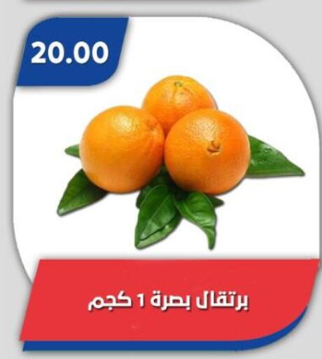 available at Bassem Market in Egypt - Cairo