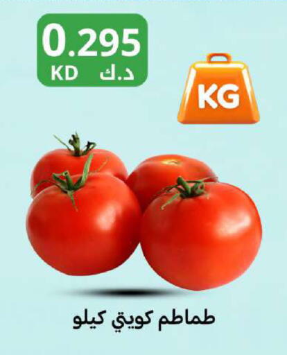 available at شركة سوق ميم المركزي  in الكويت - مدينة الكويت