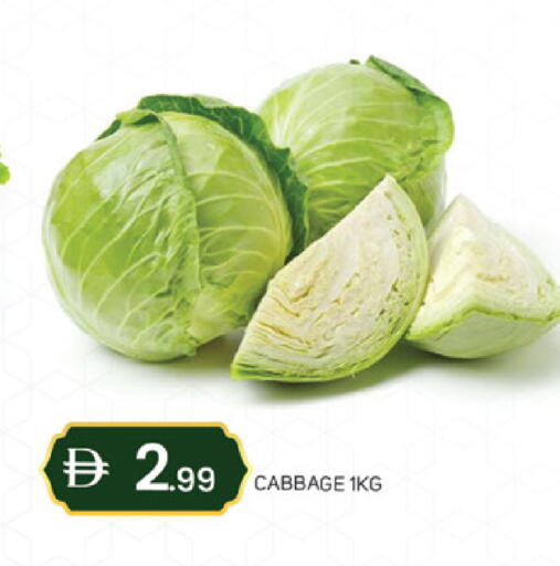 Cabbage available at TALAL MARKET in UAE - Dubai