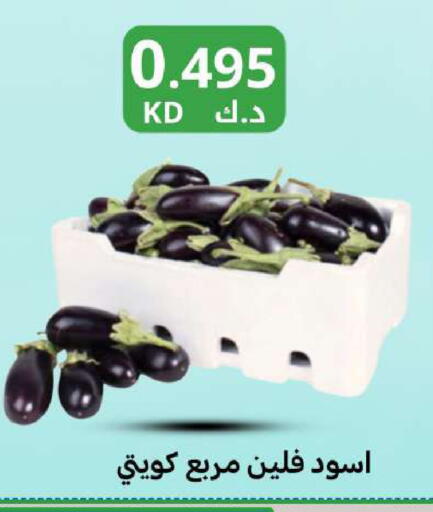 available at Meem Central Market Co in Kuwait - Kuwait City