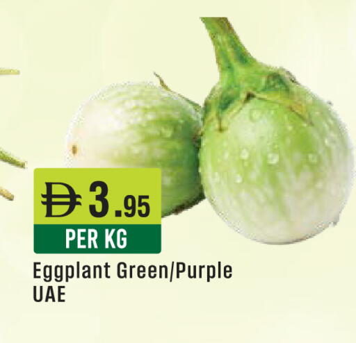 Eggplant available at ويست زون سوبرماركت in الإمارات العربية المتحدة , الامارات - دبي