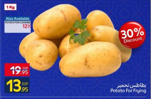Potato available at كارفور in Egypt - القاهرة