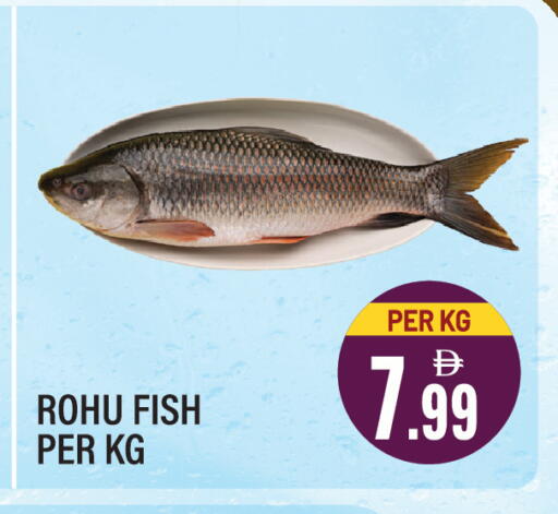 available at Dream Land in UAE - Sharjah / Ajman