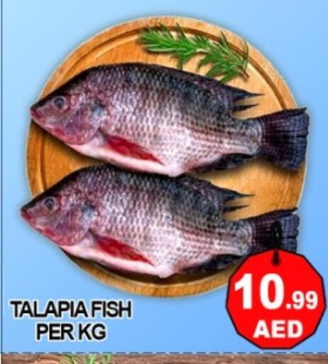 available at Green Gift Department Store in UAE - Dubai