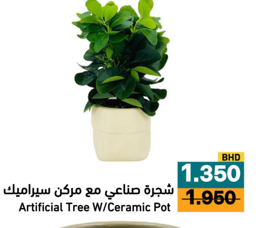 available at أسواق رامز in مملكة العربية السعودية, السعودية, سعودية - الرياض