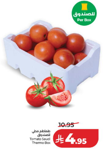 Tomato from Saudi Arabia available at لولو هايبرماركت in مملكة العربية السعودية, السعودية, سعودية - جدة