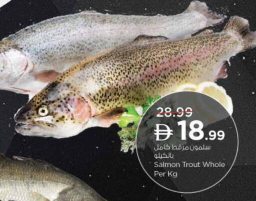 available at Nesto Hypermarket in UAE - Sharjah / Ajman