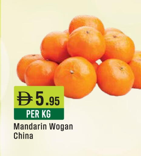 Mandarin from China available at ويست زون سوبرماركت in الإمارات العربية المتحدة , الامارات - دبي