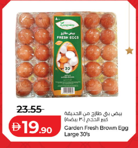 available at لولو هايبرماركت in الإمارات العربية المتحدة , الامارات - أبو ظبي