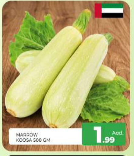 Marrow available at Al Madina  in UAE - Sharjah / Ajman