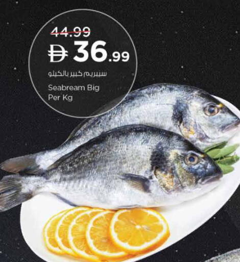 available at نستو هايبرماركت in الإمارات العربية المتحدة , الامارات - الشارقة / عجمان