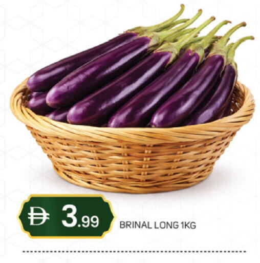 available at سوق طلال in الإمارات العربية المتحدة , الامارات - دبي