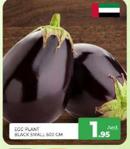 available at Al Madina  in UAE - Sharjah / Ajman