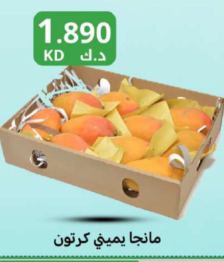 available at شركة سوق ميم المركزي  in الكويت - مدينة الكويت