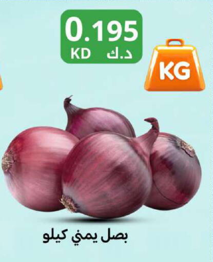 available at شركة سوق ميم المركزي  in الكويت - مدينة الكويت