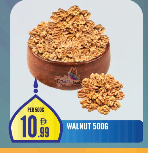 available at دريم لاند in الإمارات العربية المتحدة , الامارات - الشارقة / عجمان