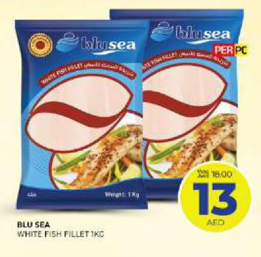 available at المدينة in الإمارات العربية المتحدة , الامارات - الشارقة / عجمان