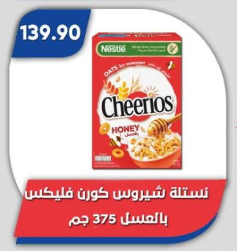 available at باسم ماركت in Egypt - القاهرة