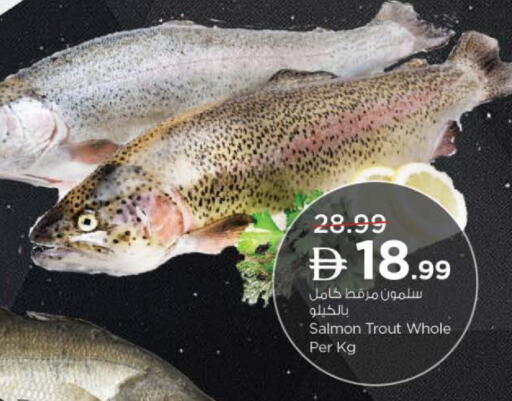 available at نستو هايبرماركت in الإمارات العربية المتحدة , الامارات - دبي