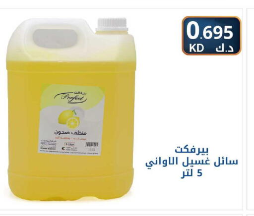 available at شركة سوق ميم المركزي  in الكويت - مدينة الكويت