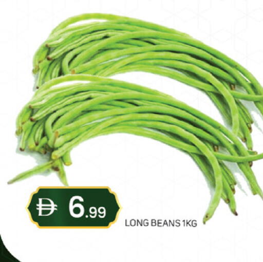 available at سوق طلال in الإمارات العربية المتحدة , الامارات - دبي