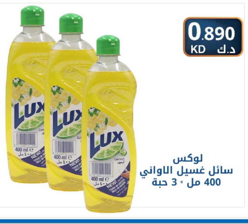 Lemon available at شركة سوق ميم المركزي  in الكويت - محافظة الأحمدي