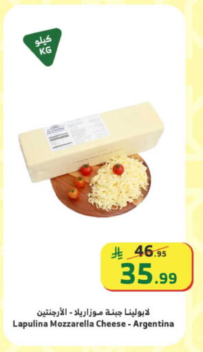 available at الراية in مملكة العربية السعودية, السعودية, سعودية - الباحة