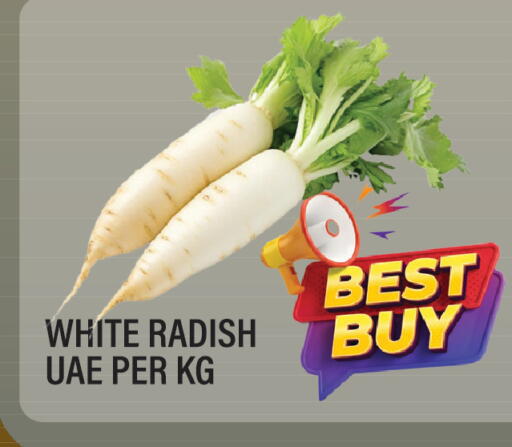 Radish available at Dream Land in UAE - Sharjah / Ajman