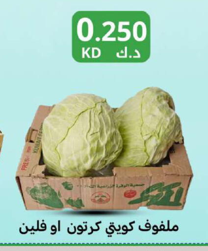 from Kuwait available at Meem Central Market Co in Kuwait - Kuwait City