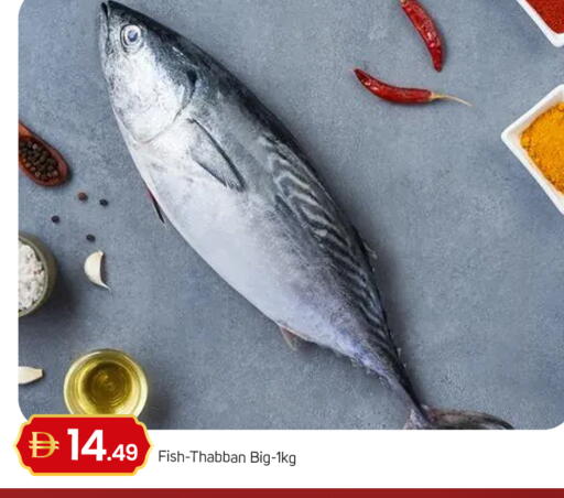 available at سوق طلال in الإمارات العربية المتحدة , الامارات - أبو ظبي