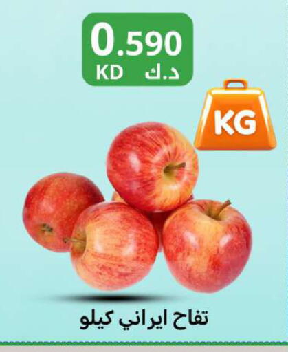 available at شركة سوق ميم المركزي  in الكويت - مدينة الكويت