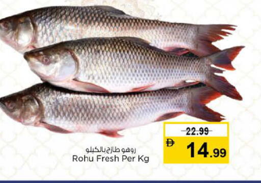 available at نستو هايبرماركت in الإمارات العربية المتحدة , الامارات - دبي