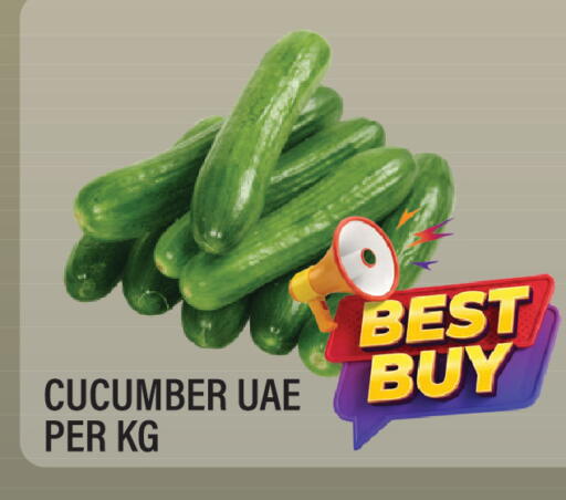 Cucumber available at Dream Land in UAE - Sharjah / Ajman
