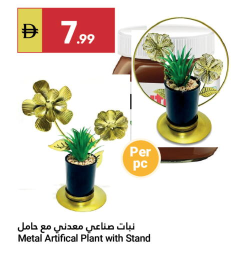 available at Grand Emirates Market in UAE - Abu Dhabi