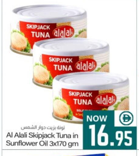 available at ميم ساجدة in الإمارات العربية المتحدة , الامارات - الشارقة / عجمان