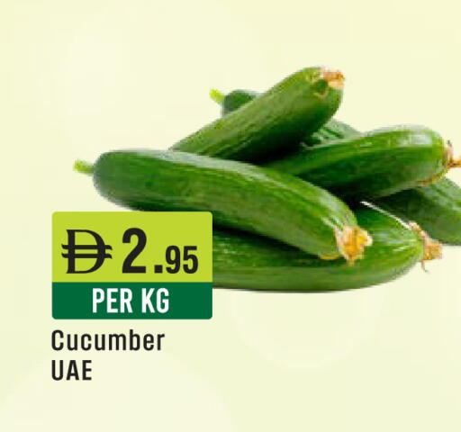 Cucumber available at ويست زون سوبرماركت in الإمارات العربية المتحدة , الامارات - دبي