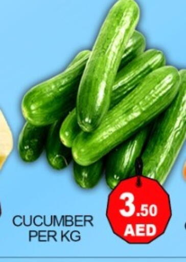 Cucumber available at Green Gift Department Store in UAE - Dubai