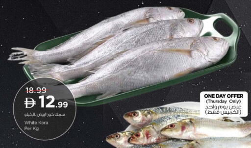 available at Nesto Hypermarket in UAE - Dubai