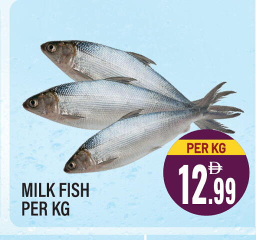 available at Dream Land in UAE - Sharjah / Ajman