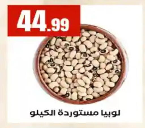 available at مارت فيل in Egypt - القاهرة
